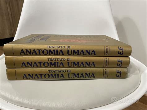 edi hermes anatomia|Trattato Anatomia Umana Edi Ermes (book).